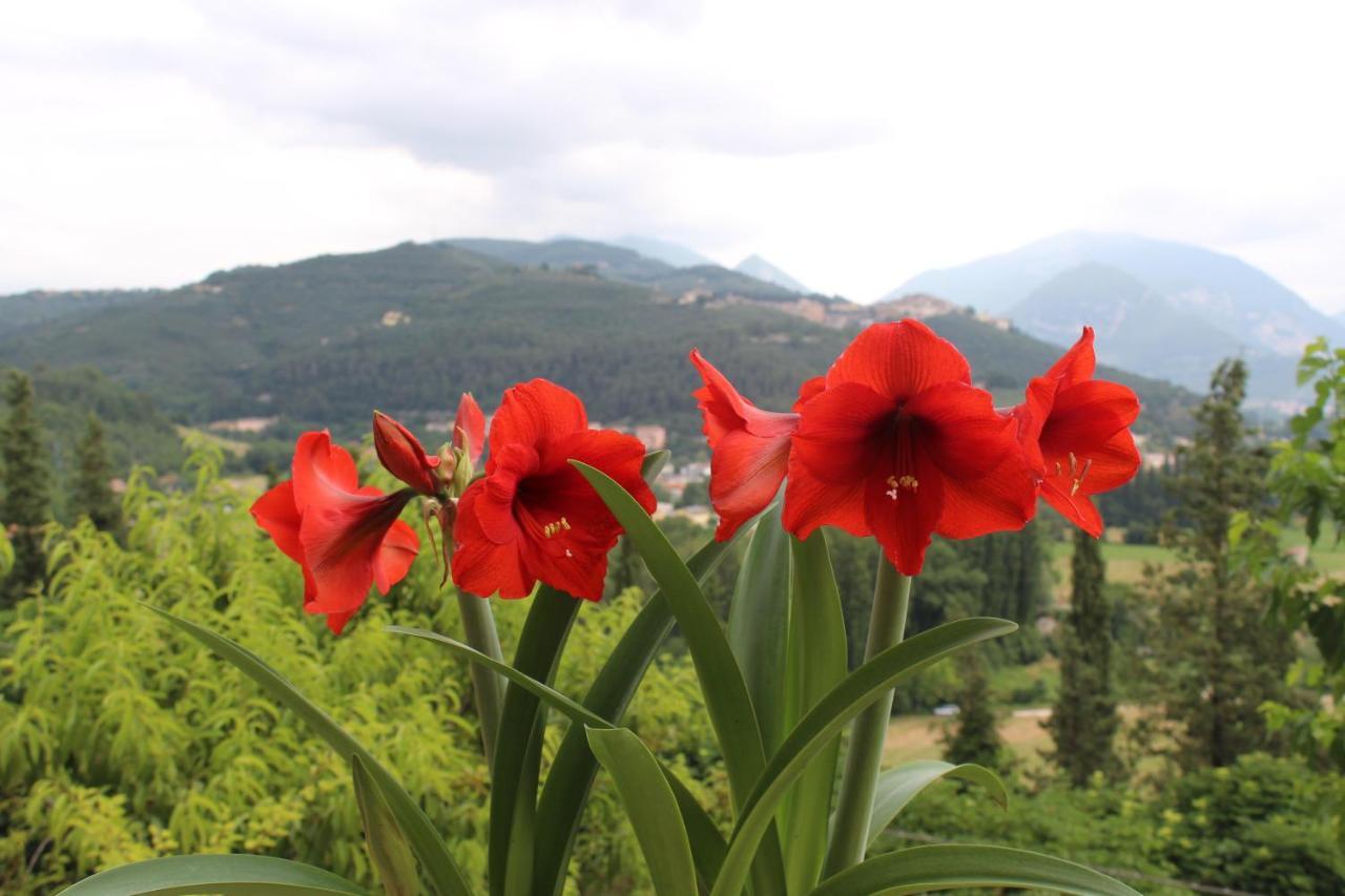 Il Castello Sul Lago Arrone Εξωτερικό φωτογραφία